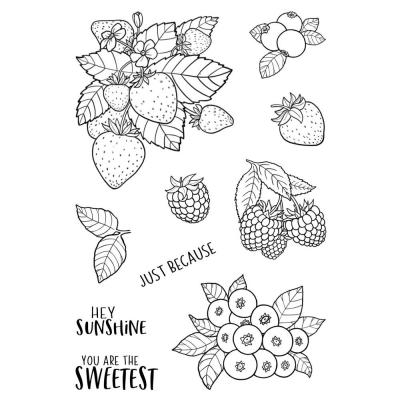 Jane's Doodles Clear Stamps - Berries